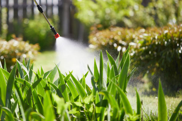 24/7 Emergency Cockroach Control experts in Mundelein, IL