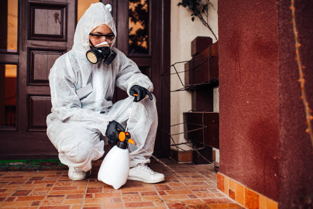 Reliable Cockroach Control contractor in Mundelein, IL by Nex Pest Control