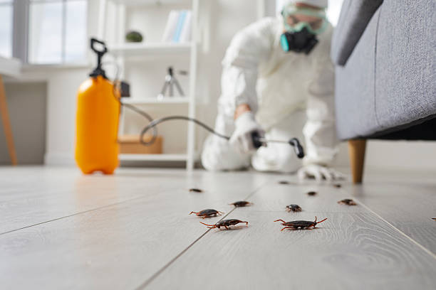 Trusted Cockroach Control service in Mundelein, IL - Nex Pest Control